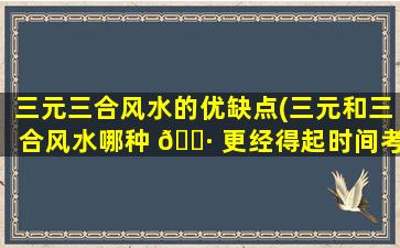 三元三合风水的优缺点(三元和三合风水哪种 🕷 更经得起时间考验)